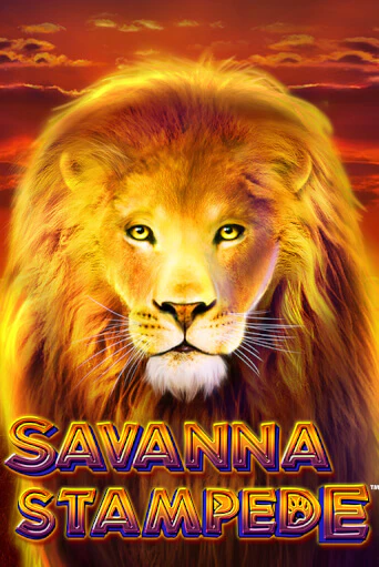 Savanna Stampede бесплатная онлайн игра от лучшего сайта Гранд Казино Казахстан